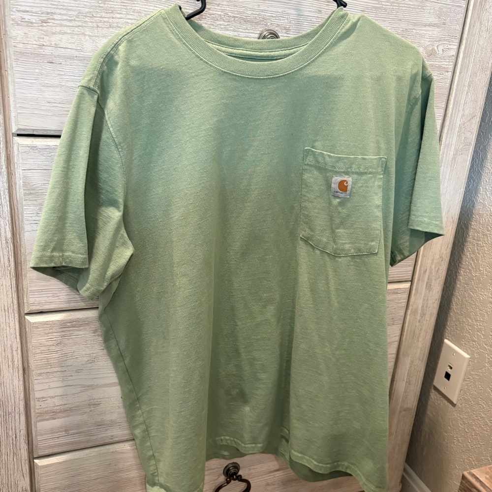 Carhartt Loose Fit T-Shirt in Sage Green